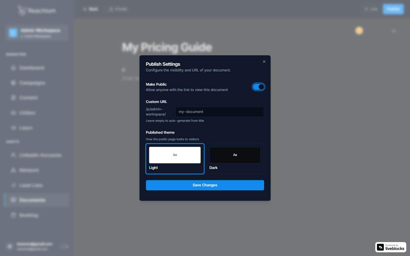 Publish Settings dialog with toggle on, custom URL filled, Light theme selected