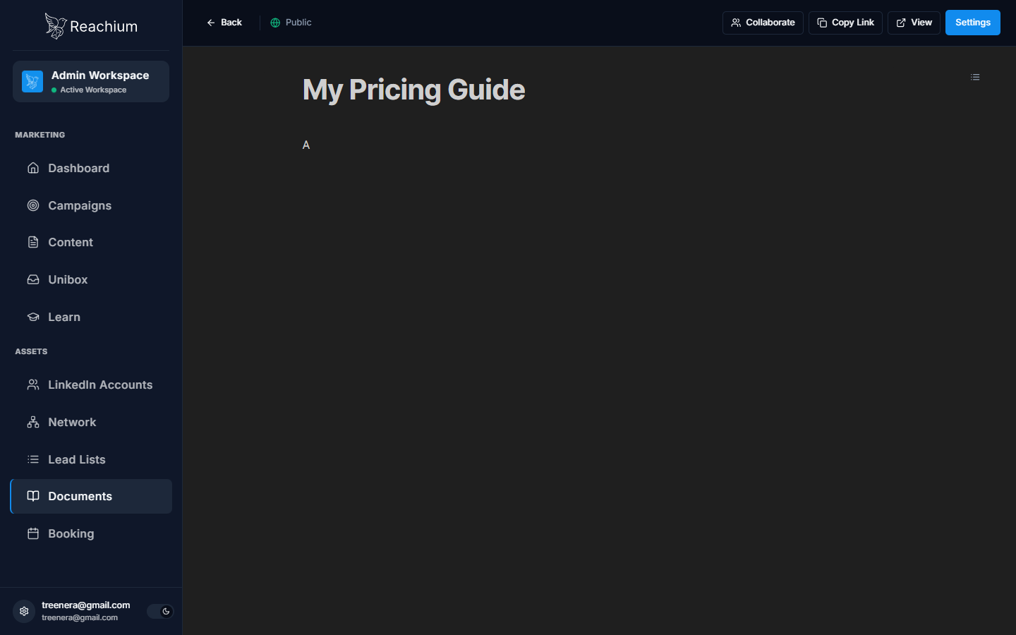 Document header after publishing with Public badge and Copy Link / View / Settings buttons